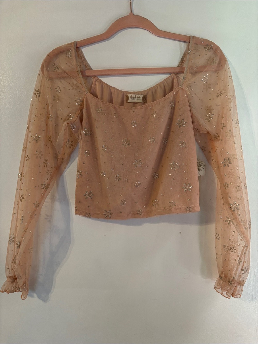 Altar'd State Sheer Long-Sleeve Embellished Crop Top in Peach